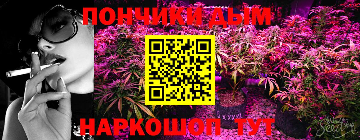 Канабис AK-47  Вход с VPN  Бошки марихуана White Widow  Каннабис сатива  Грязи 